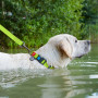 Ошейник для собак водостойкий WAUDOG Waterproof c QR-паспортом, пластиковая пряжка-фастекс, салатовый