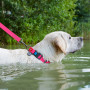 Нашийник для собак водостійкий WAUDOG Waterproof з QR-паспортом, пластикова пряжка-фастекс, рожевий