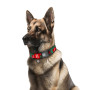 Нашийник для собак нейлоновий WAUDOG Nylon c QR паспортом "Гранати", пластиковий фастекс