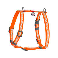 Шлея для собак водостойкая анатомическая Н-образная WAUDOG Waterproof с QR-паспортом, светоотражающая, пластиковая пряжка-фастекс, оранжевый