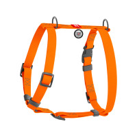 Шлея для собак водостойкая анатомическая Н-образная WAUDOG Waterproof с QR-паспортом, пластиковая пряжка-фастекс, оранжевый