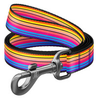 Поводок для собак нейлоновый WAUDOG Nylon "Линия 1", длина 122 см