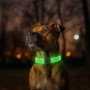 Нашийник для собак з LED-підсвіткою WAUDOG, магнітна застібка