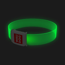 Ошейник для собак с LED-подсветкой WAUDOG, магнитная застежка