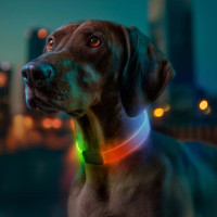 Нашийник для собак з підсвіткою WAUDOG LED, регульований