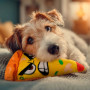 Игрушка для собак WAUDOG Fun Plush Пицца