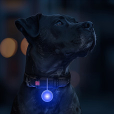 Фонарик для собак и кошек WAUDOG LED, в светящемся силиконовом чехле