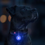 Фонарик для собак и кошек WAUDOG LED, в светящемся силиконовом чехле