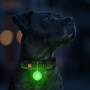 Фонарик для собак и кошек WAUDOG LED, в светящемся силиконовом чехле