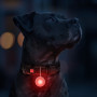Фонарик для собак и кошек WAUDOG LED, в светящемся силиконовом чехле