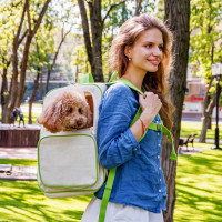 Рюкзак-переноска WAUDOG Relax Eco для кошек и собак до 8 кг, 27*34*42