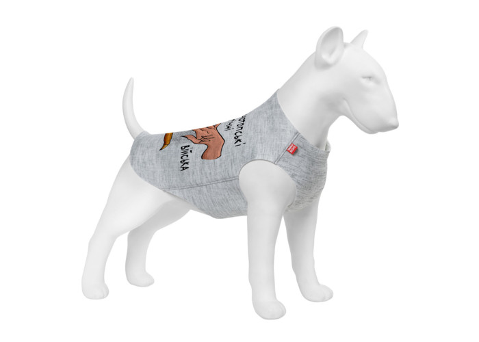 Майка для собак WAUDOG Clothes "Конотопские магические войска"