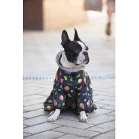 Комбинезон для собак WAUDOG Clothes "Рик и Морти 2"