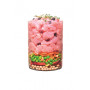 Сухий корм Carnilove Adult True Fresh Turkey для дорослих собак всіх порід, з індичкою, 1.4 кг