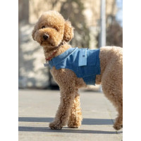 Шлея для собак DogsBomba джинсова, блакитна