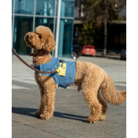 Шлея для собак DogsBomba джинсова, квіти