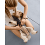 Жилет дутый для собак DogsBomba, графитовый