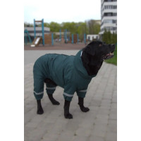 Дождевик для собак крупных пород DogsBomba, изумруд