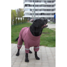 Дождевик для собак крупных пород DogsBomba, сливовый