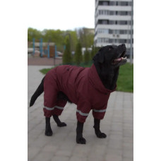 Дождевик для собак крупных пород DogsBomba, бордо