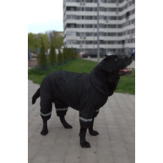 Дождевик для собак крупных пород DogsBomba, черный
