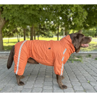Дождевик Спорт для собак Dogs Bomba на флисе, оранжевый