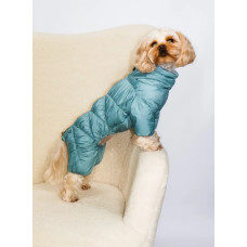 Зимний комбинезон для собак DogsBomba Comfort, мятный