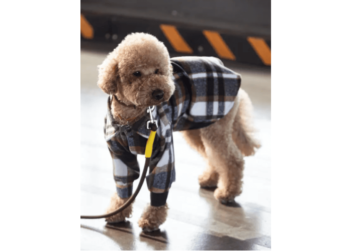 Рубашка клетчатая для собак DogsBomba, мокко