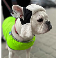 Шапка для собак DogsBomba стеганая, черная