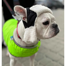 Шапка для собак DogsBomba стеганая, черная