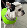 Шапка для собак DogsBomba стьобана, чорна