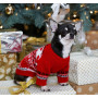 Светр для собак в'язаний DogsBomba New Year, червоний