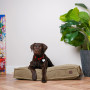Подушка Memory Foam Cacao