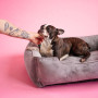 Лежак для собак и котов Harley and Cho Dreamer Velvet Gray