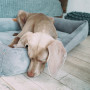 Лежак для собак и котов Harley and Cho Dreamer Velvet Gray