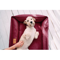 Лежак для собак та котів Harley and Cho Dreamer Velour Wine