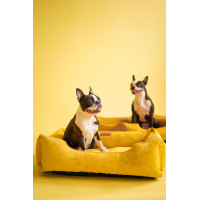 Лежак для собак и котов Harley and Cho Dreamer Velvet Yellow
