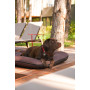 Двосторонній лежак-понтон Lounger Waterproof Brown, коричневий