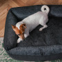 Лежак Sofa Graphite Wolf