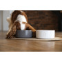 Керамическая миска Harley and Cho Bowl Gray 