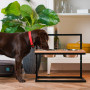 Миски на подставке c регулируемой высотой Lift Natural Wood + Black
