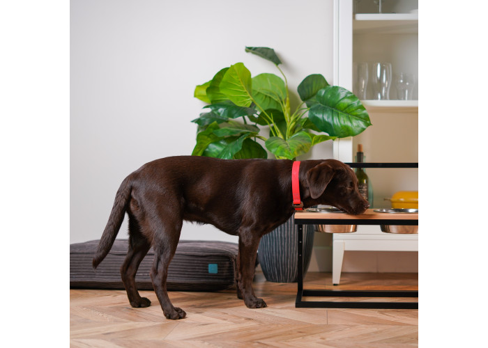 Миски на подставке c регулируемой высотой Lift Natural Wood + Black
