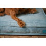 Подушка Memory Foam Mint