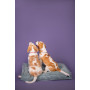 Подушка Memory Foam Mint