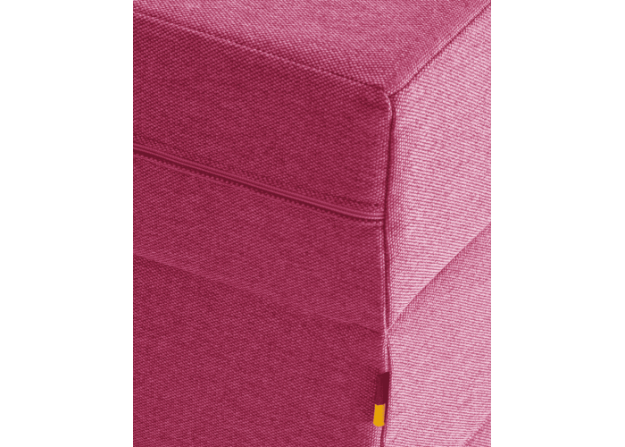 Сходинки для собак Tetris Berry - double