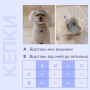Кепка для собак из вельвета HatDog, капучино