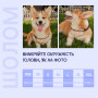 Шлем звукоизоляционный для собак HatDog