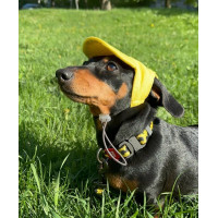 Кепка для собак из льна HatDog, желтая