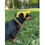 Кепка для собак из льна HatDog, желтая