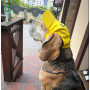 Кепка для собак из льна HatDog, желтая